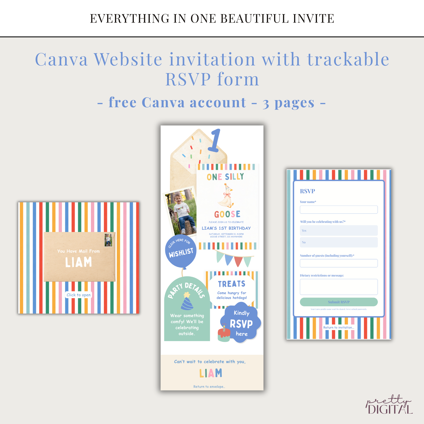 One Silly Goose First Birthday Invitation - Colorful Striped Digital Invite
