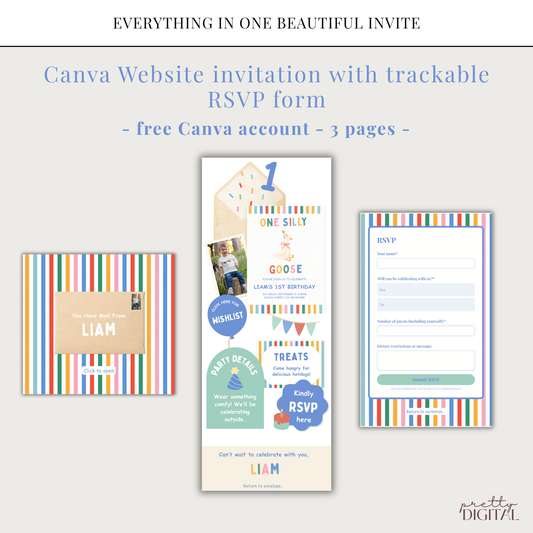 One Silly Goose First Birthday Invitation - Colorful Striped Digital Invite